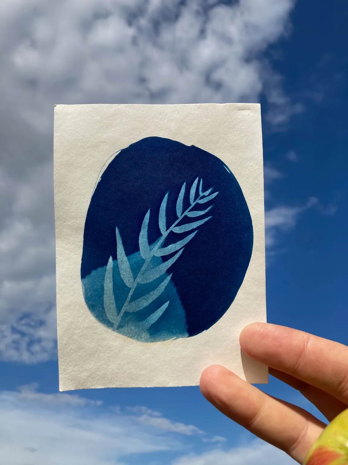 Cyanotype - moment